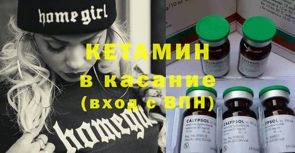 прущие грибы Белокуриха