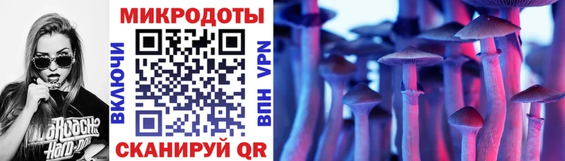 купить  сайты  Малая Вишера  Псилоцибиновые грибы Psilocybe 